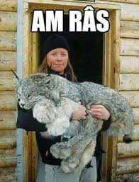 exemple de reclame - am ras